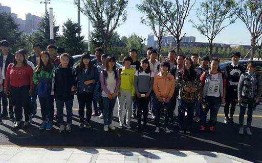 專業(yè)小蜜蜂